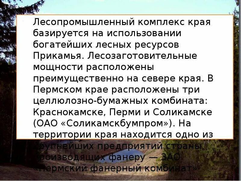 Лесная промышленность Пермь. Отрасли Пермского края. Экономика Пермского края. Промышленность Пермского края. Какая экономика в пермском крае