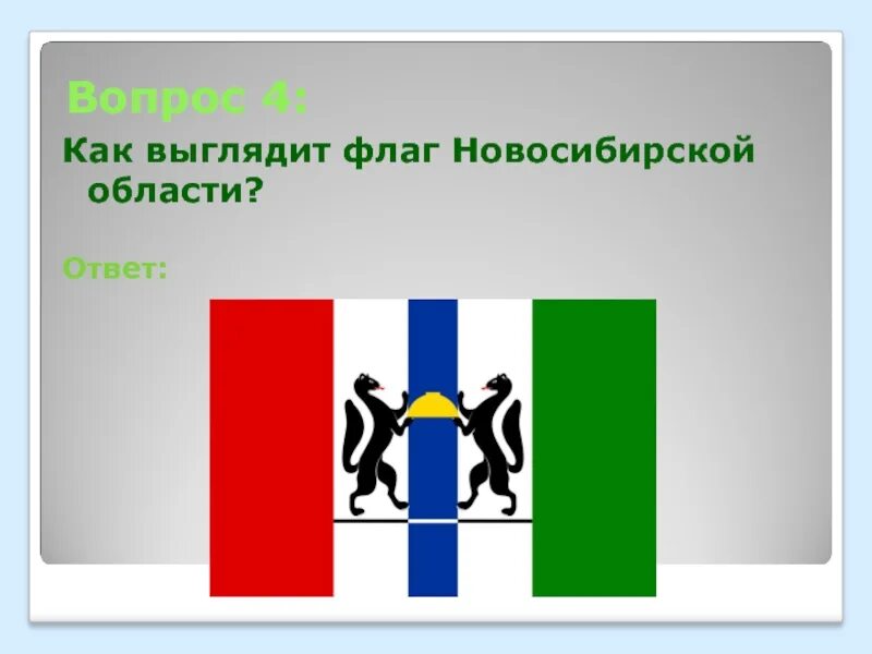 Флаги областей новосибирска. Флаги областей новосибирска. Новосибирский флаг. Флаги областей новосибирска. Флаги областей новосибирска.