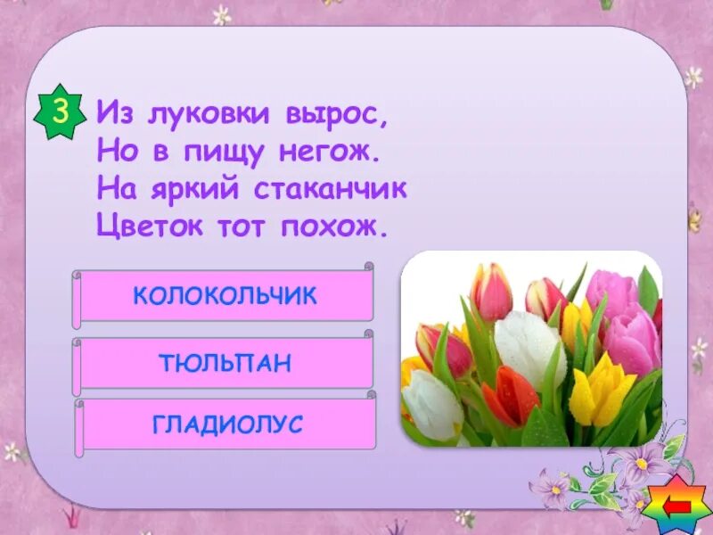 Загадки про цветы для дошкольников. Загадки о цветах. Цветочные загадки. Интересные загадки про цветы.