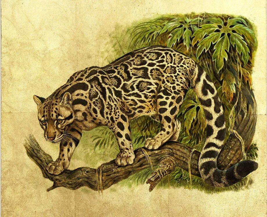 Evilaudio. Vaira chronicles. Collection of works by biggreen. 3dcg jm600r. Глен вейсман художник.