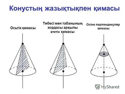 Олар орысша сөйлей отырып, жынданып жатыр.