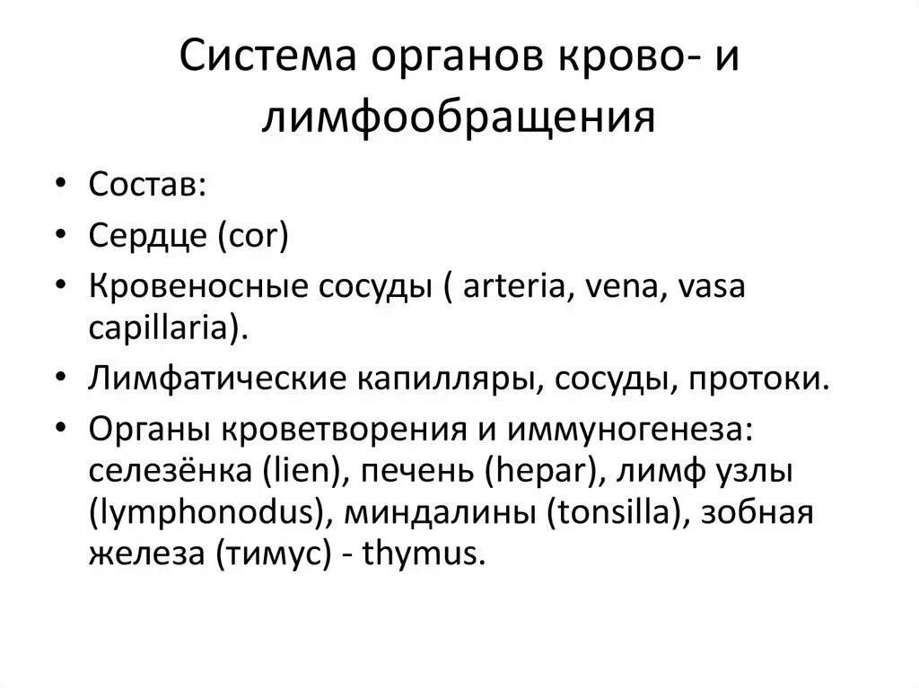 Lymphonodus. Общая характеристика системы крово- и лимфообращения». Общая схема крово и лимфообращения. Перечислите органы крово и лимфообращения. Краткая характеристика крово и лимфообращения.