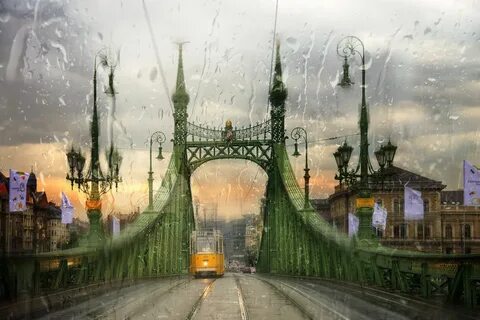 Мост дождь