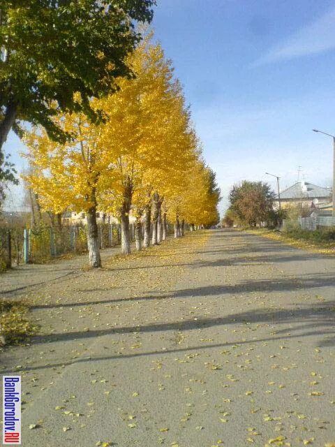 Южноуральск Челябинская область. Улицы города Южноуральска. Южноуральск фото города. Старый город Южноуральск. Районы южноуральска