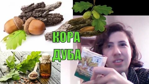 Зуба дуба