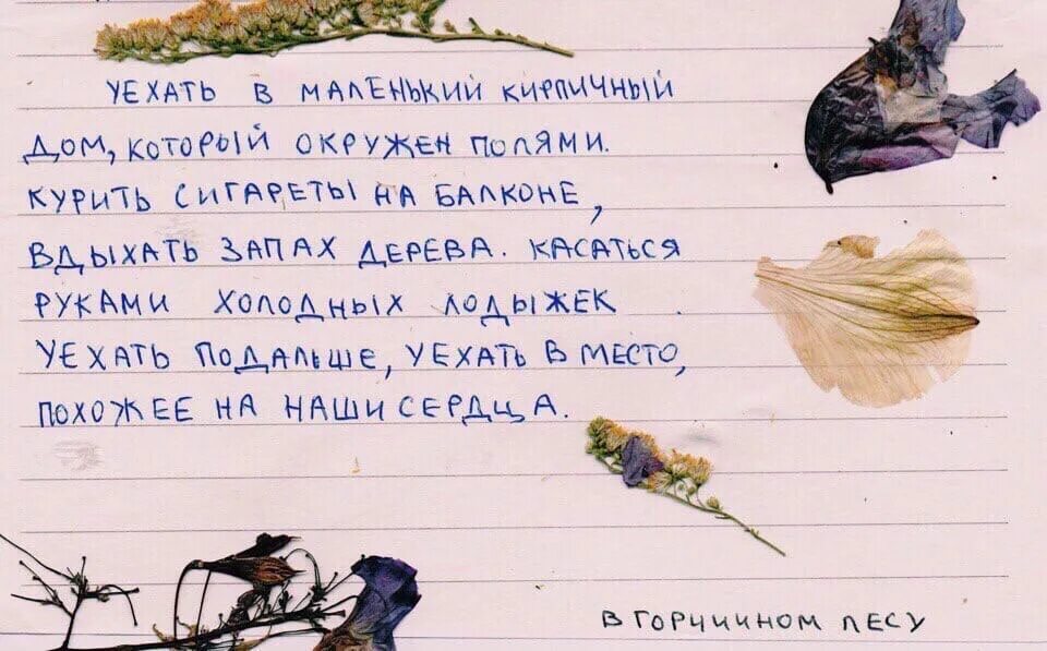 В горчичном лесу. В горчичном лесу цитаты. в горчичном лесу любовь. в горчичном лесу открытки.