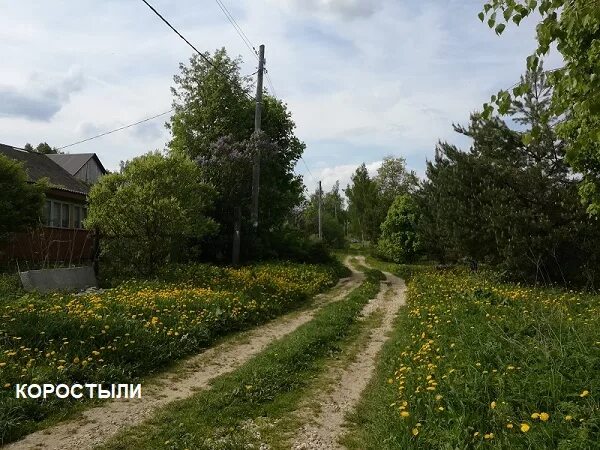 Деревня богдановка. Погода коростыли коломенский. Оке воскресенск. Рп5 волгоград рп5. Погода коростыли коломенский.