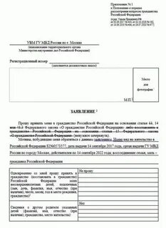 Образец заполнения бланка на гражданство ребенку
