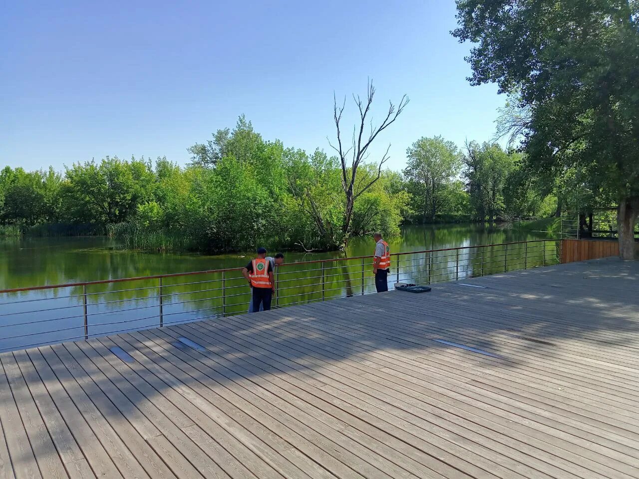 Цпкио им. Горького (загородный парк). Парки самары вакансии. Парки самары вакансии. Волжские паруса самара вид.