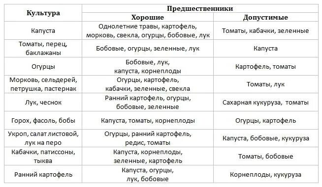 Лучшие предшественники для моркови. Морковь посадка после какой культуры сажать. После каких культур можно сажать морковь и лук. Посадка моркови после каких культур можно сажать. После каких овощей можно садить морковь.