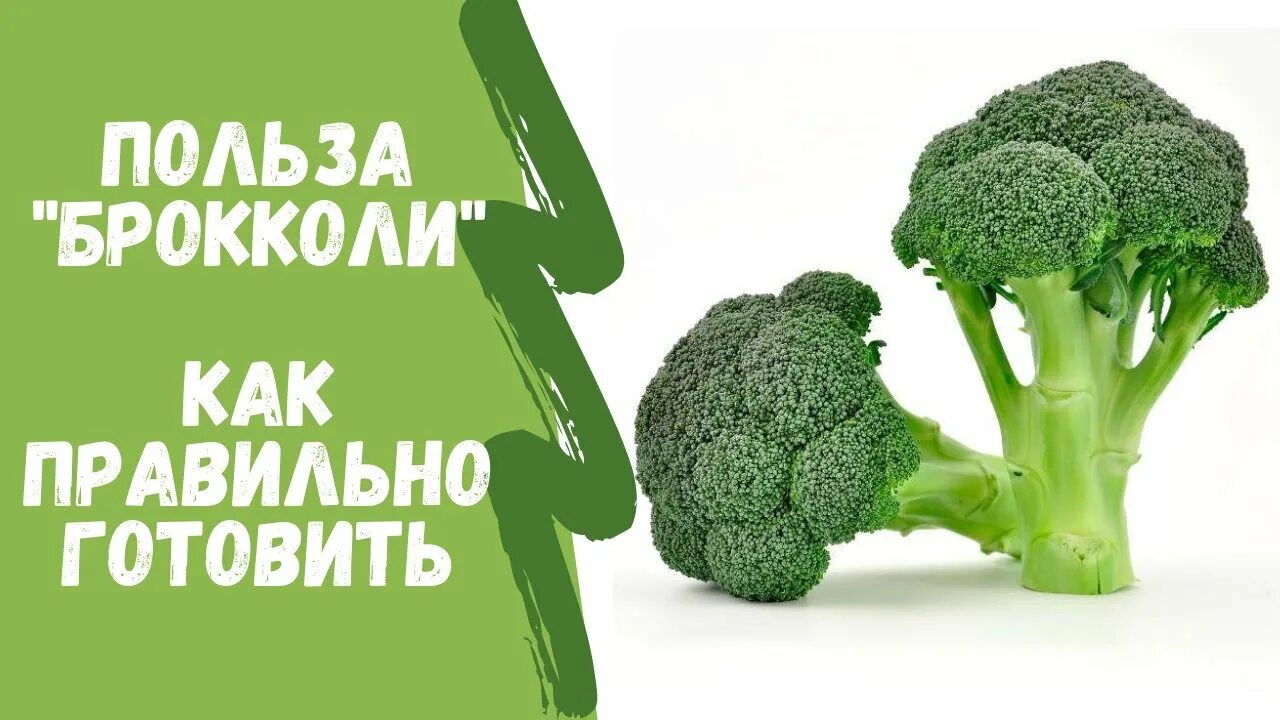 Капуста брокколи польза для организма. Брокколи польза. Чем полезна брокколи. Полезность брокколи. Чем полезна брокколи для организма.