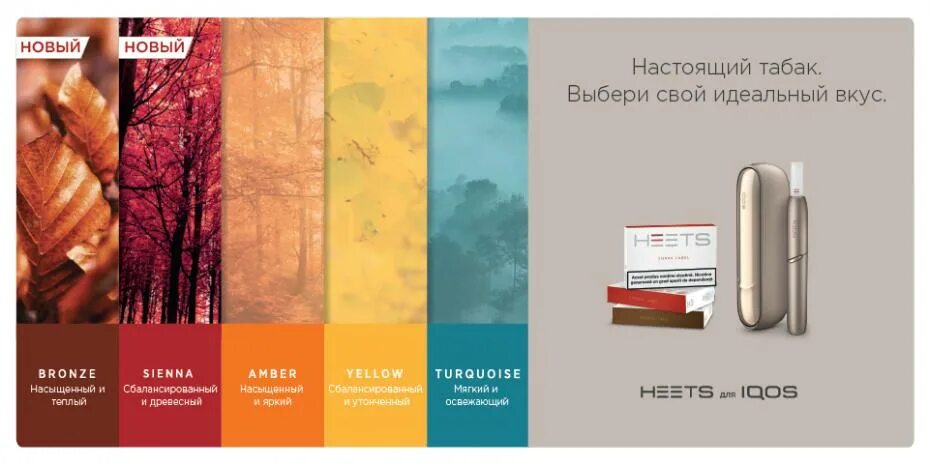 Какой вкус настоящего. Стики айкос siena. sienna label стики вкус. стики для iqos sienna label. стики для iqos сиена.