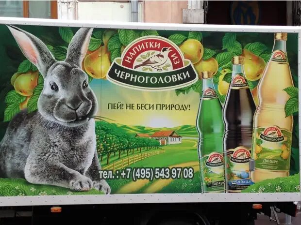 Напитки из черноголовки мем. Пейте без остановки напитки из черноголовки. Пей без остановки напитки из черноголовки. Пейте без остановки напитки из черноголовки прикол. Напитки из черноголовки властелин.