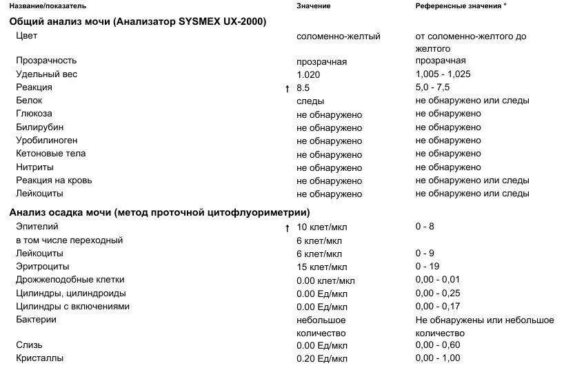 Сильно повышенные лейкоциты в моче. Эритроциты в моче клеток/мкл норма. Норма содержания лейкоцитов и эритроцитов в моче. Лейкоциты в моче таблица норма. Расшифровка анализа мочи лейкоциты и эритроциты норма.