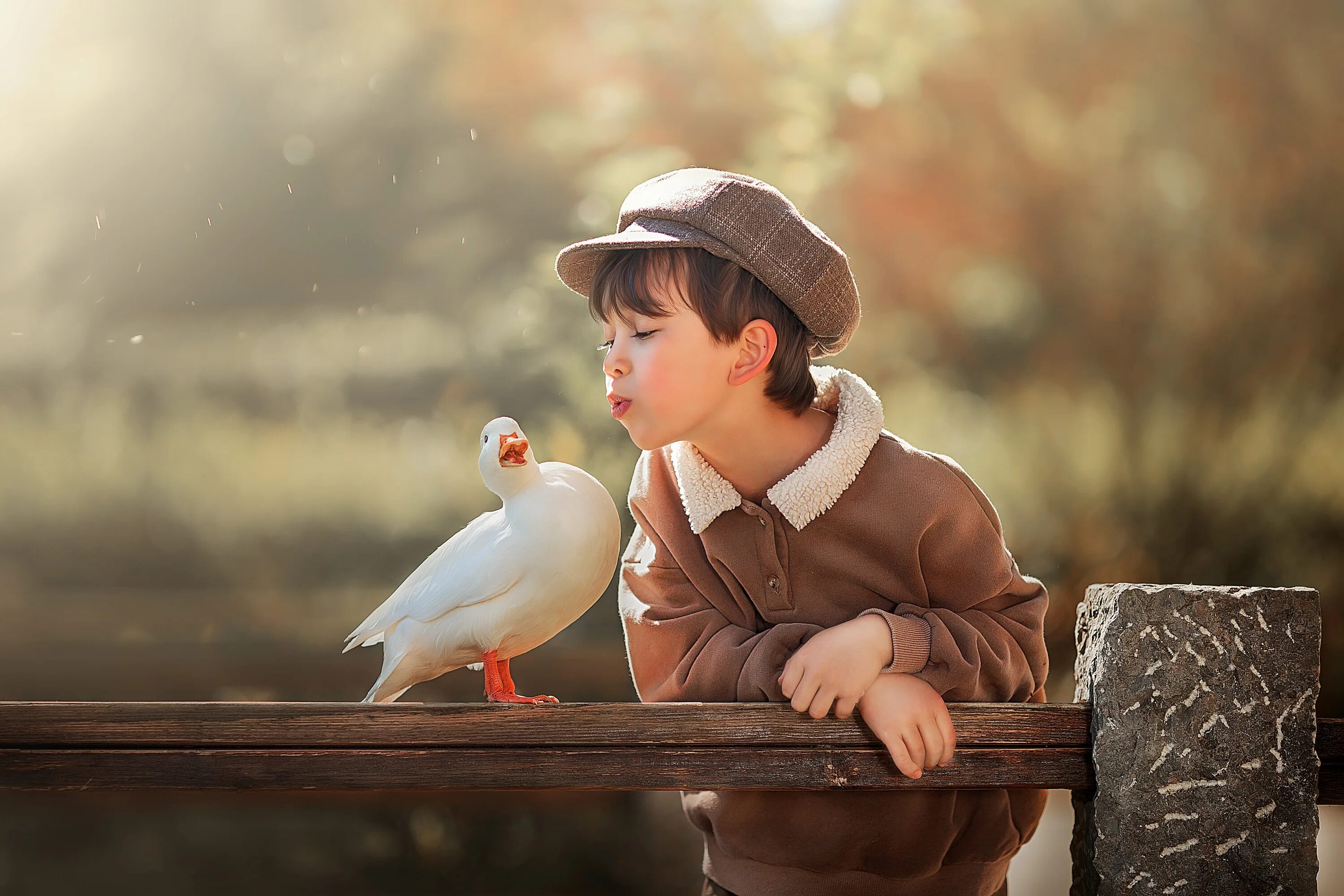 Мальчик и птичка. Мальчик с птичкой в руках. Мальчик с птичкой картина. Мальчик и плица.