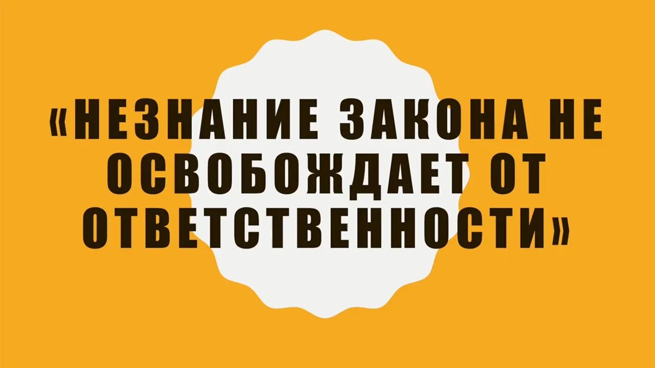 Незнание закона от ответственности не. Нензнание закона не освобождает отответсвенности. незнание закона. фраза незнание закона не освобождает от ответственности. незнание закона не освобождает от ответственности беседа\.