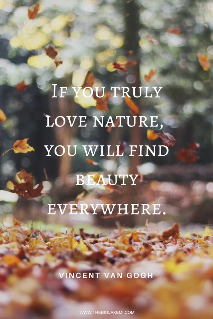 Природа цитаты. Красивые фразы про природу. Афоризмы про природу и красоту. Красивые цитаты про природу. Красивые высказывания о природе.
