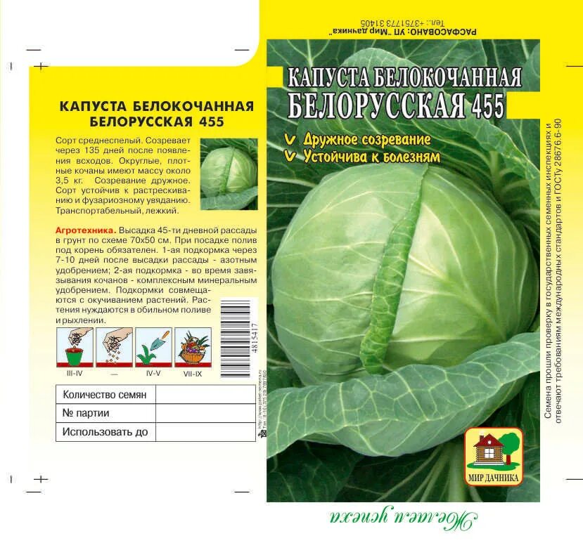 Капуста белорусская 455 описание сорта. Капуста белорусская описание сорта. Капуста Слава белорусская. Капуста белорусская фото.