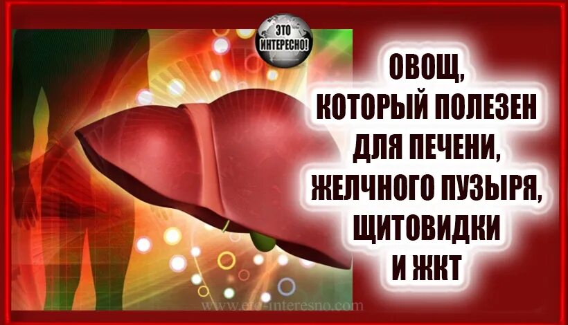 Продукты полезные для желчного пузыря и печени. Полезные овощи для печени. Здоровье печень и желчный пузырь. Мудра для печени и желчного пузыря. Мудра для печени и желчного пузыря лечения.