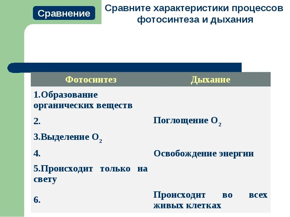 Сравнительная характеристика дыхания и фотосинтеза биология 6. Сравнительная характеристика фотосинтеза и дыхания таблица. Сравнительная характеристика процесса дыхания и фотосинтеза таблица. Сравнительная характеристика процессов дыхания и фотосинтеза. Таблица дыхание и фотосинтез по биологии 6.