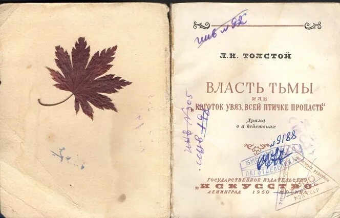 Увяз всей птичке пропасть. Власть тьмы, или Коготок увяз, всей Птичке пропасть». Власть тьмы толстой. Коготок увяз всей Птичке пропасть толстой. Власти тьмы” л.н. Толстого.