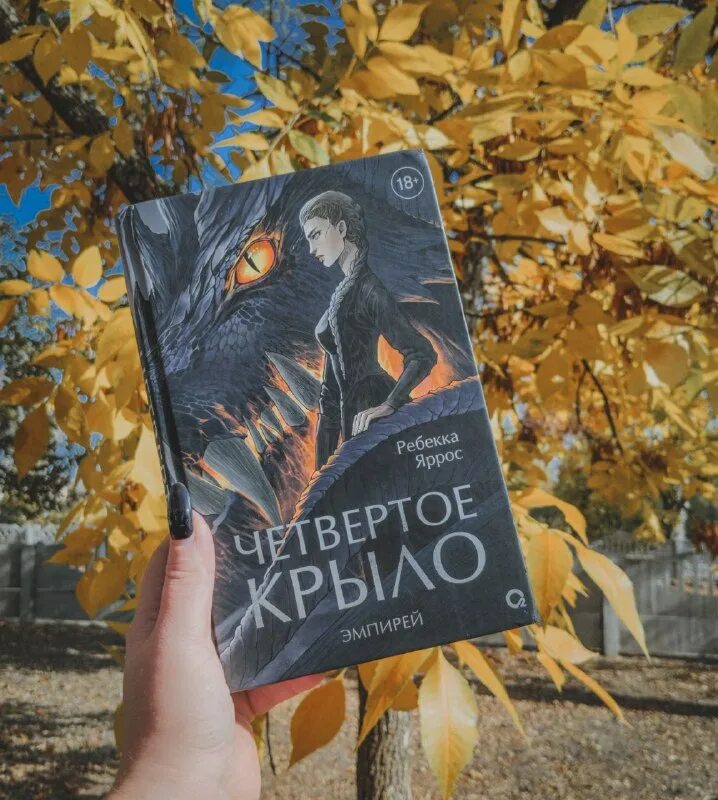 Книга четвертое крыло ребекка читать. Книга четвертое крыло ребекка читать