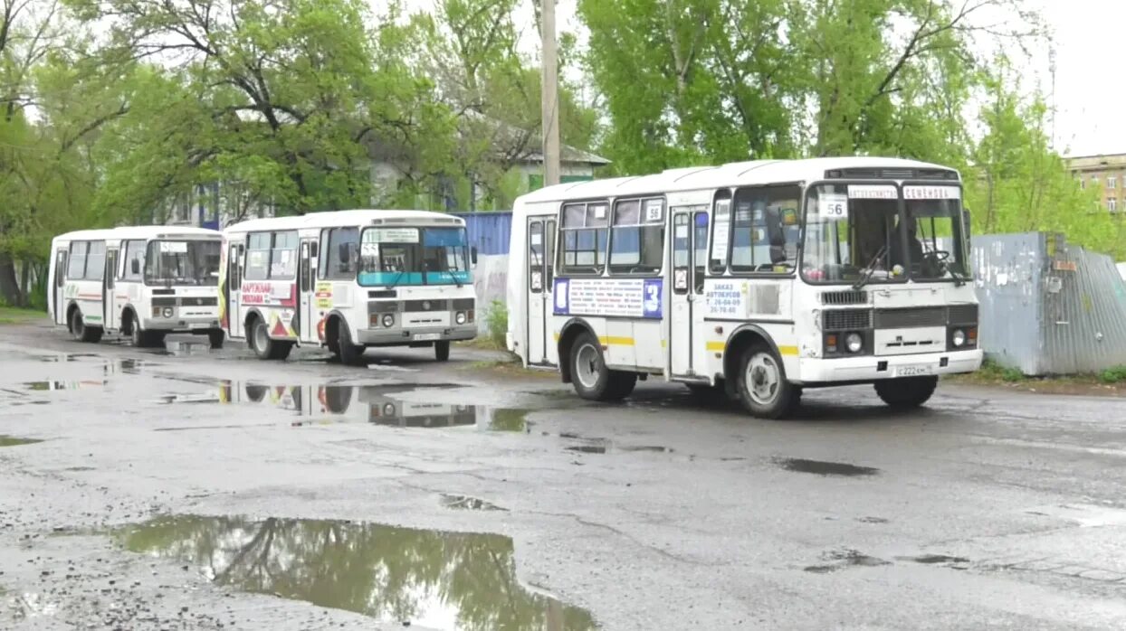 Автобус ПАЗ Абакан. Автобус 12 Абакан. Автобус Абакан городской автобус Абакан. Муниципальные автобусы Абакан. Красноярск абакан автобус купить