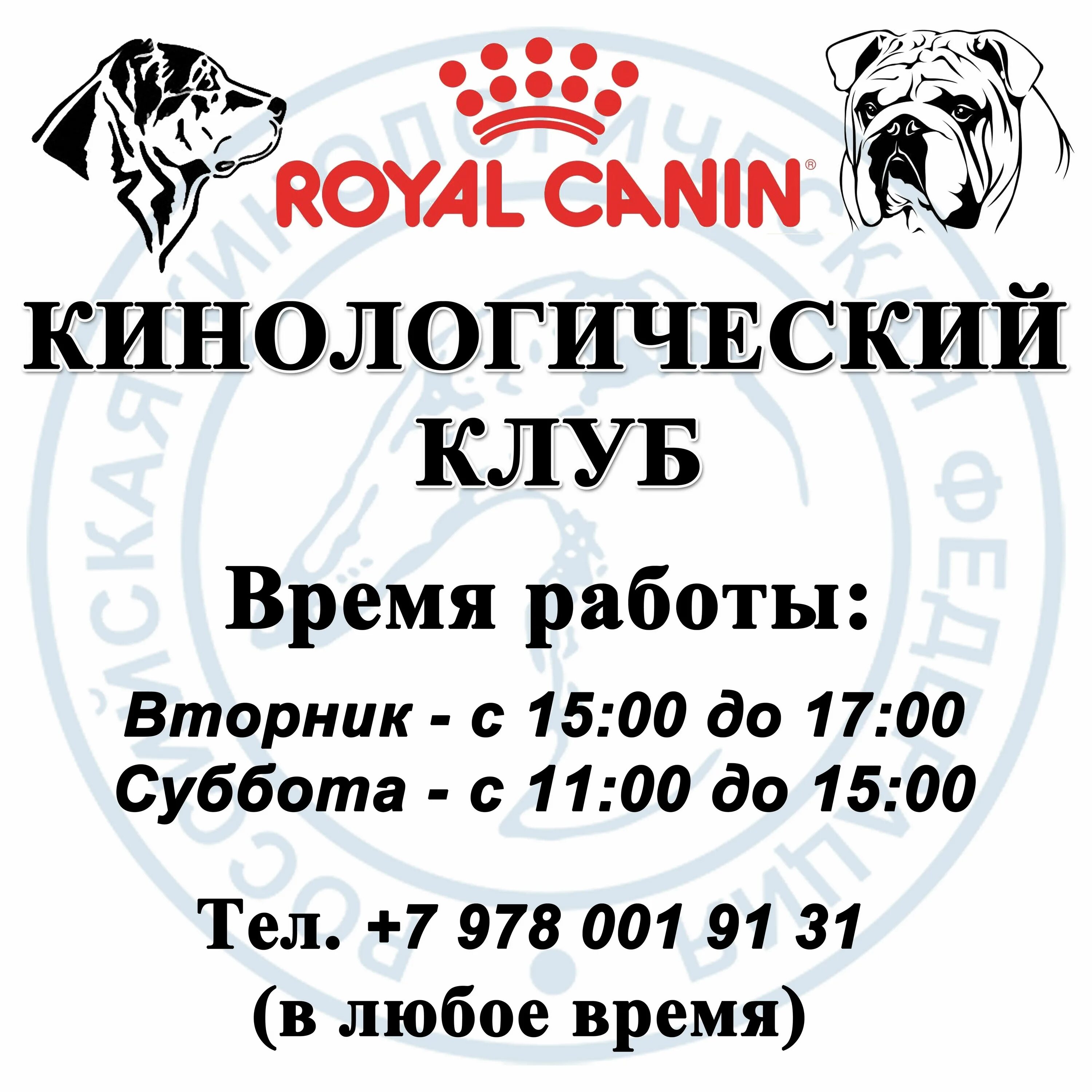 Клуб собаководства ркф. Логотип кинологического клуба. Выставка собак в спб приглашение. Сертификат чемпиона ркф-fci. Рфлс логотип.