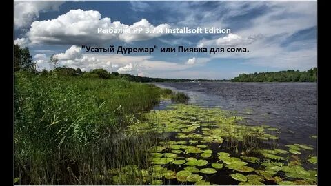 Река тут