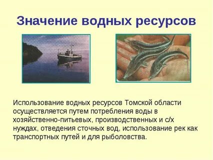 Значение водных ресурсов