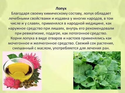 Целебные травы состав