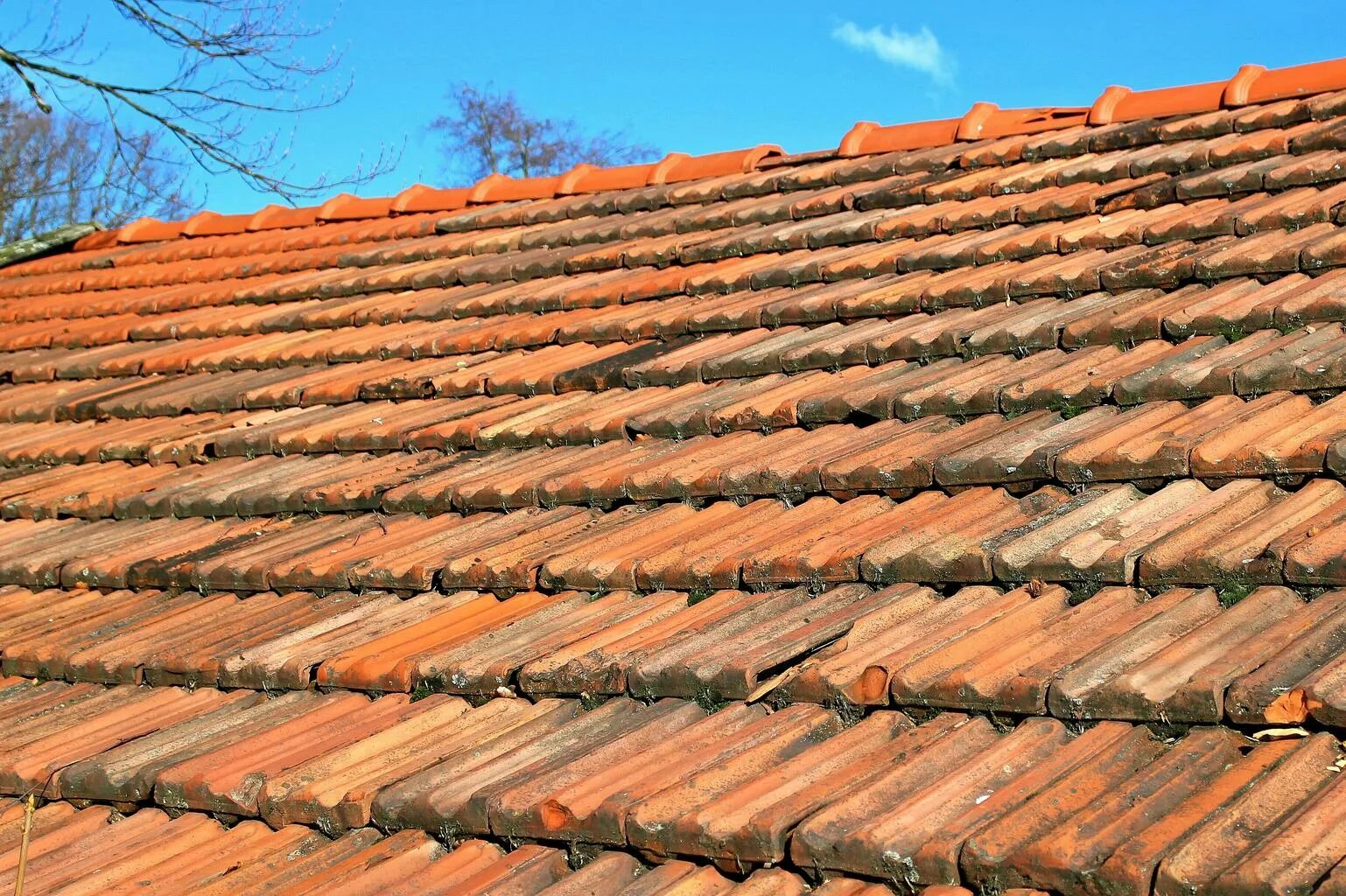 Кровельная черепица «Roofing Tiles». Черепичная глиняная кровля. Глиняная черепица татарка. Керамическая черепица Младость. Кирпичная черепица