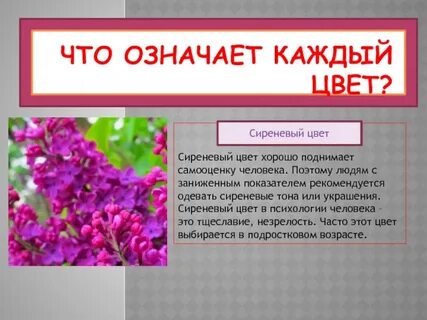 Значение букетов