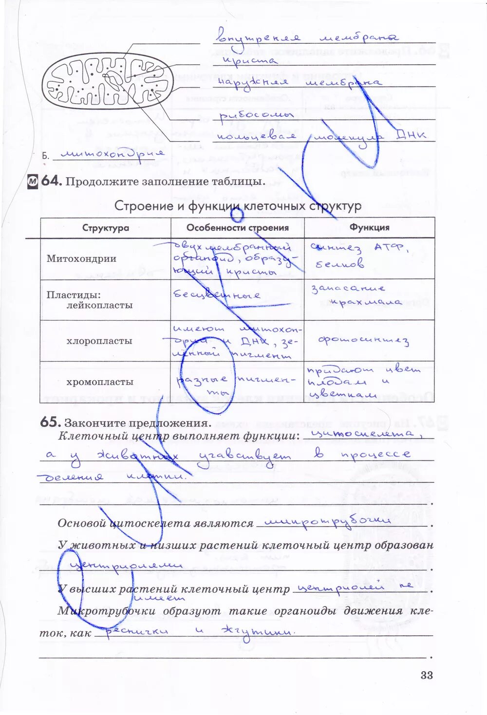 Биология 6 класс тетрадь пасечник. Решебник биология рабочая тетрадь пасечник. Решебник биология рабочая тетрадь пасечник. Рабочая тетрадь биология 6 класс пасечник 2023. Рабочая тетрадь 5 класс биология пасечник грибы.