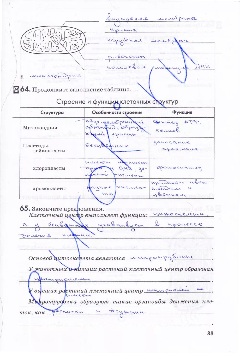 Ответы по биологии 9 класс пасечник. Биология 9 класс рабочая тетрадь Пасечник. Биология 9 класс Пасечник рабочая тетрадь гдз. Гдз по биологии 9 класс Пасечник рабочая тетрадь. Гдз рабочая тетрадь по биологии 9 класс Пасечник Швецов.