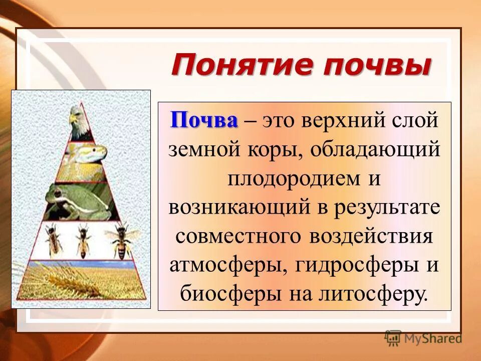 Почва это определение. Понятие о почве и ее плодородии. Почва это определение. Определение терминов почва. Определение терминов почва.