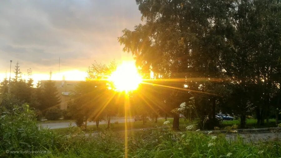 потрясное солнце. весна солнце. расплывчатое изображение. утреннее солнце. утренний рассвет.