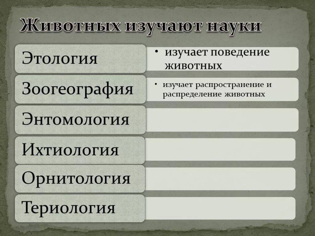 Науки которые изучают животных. Названия наук изучающих животных. Наука изучающая зверей. Назовите науки изучающие животных.