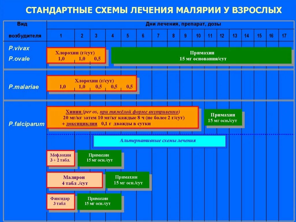 Препарат выбора при тяжелой малярии. Схема лечения трехдневной малярии. План лечения малярии. Схема лечения тропической малярии. Малярия дифференциальная диагностика.