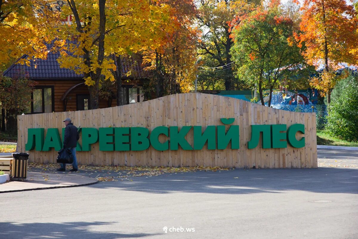 Лакреевский парк чебоксары. Лакреевский лес г. Чебоксары. Лакреевский лес Чебоксары 2020. Лакреевский лес Чебоксары аттракционы.