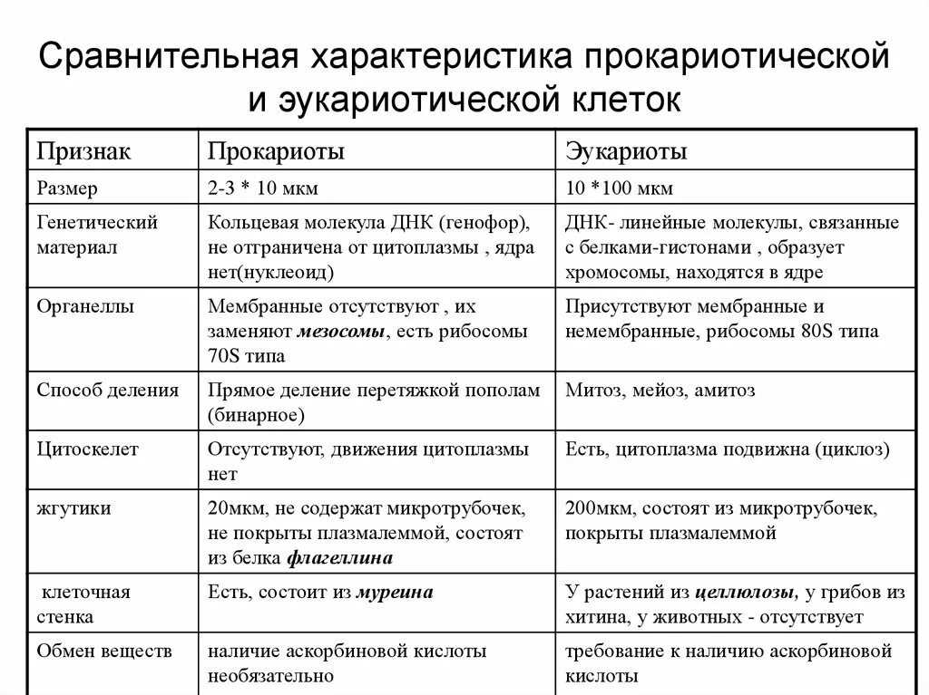 Сходство и различие прокариот. Сравнение прокариот и эукариот таблица 10 класс. Сравнительная характеристика прокариот и эукариот таблица 10 класс. Отличие прокариот от эукариот таблица. Характеристика прокариот и эукариот таблица.