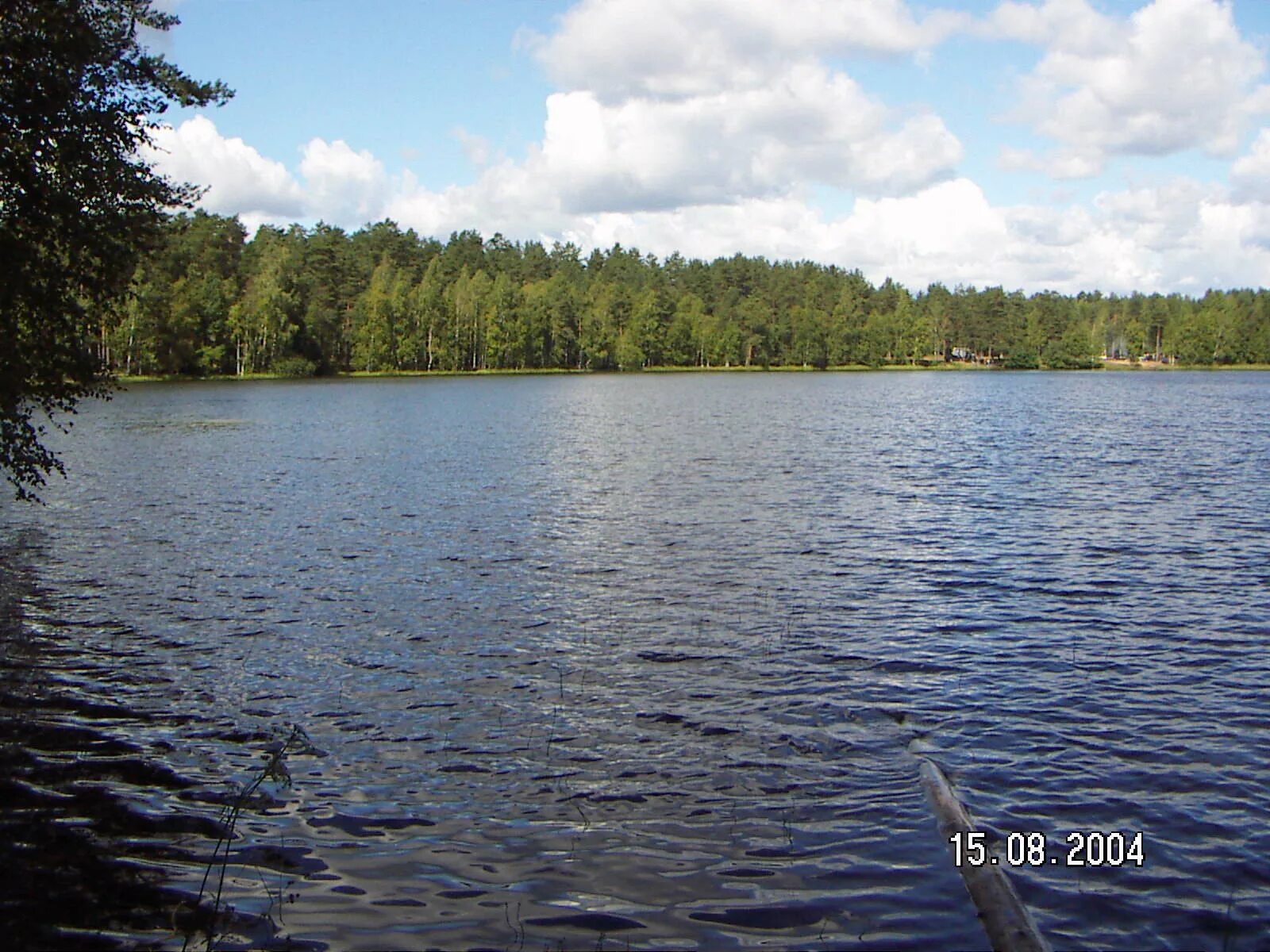 озеро заводское белоостров. озеро большое подгорье выборгский район. сестрорецкое болото экотропа 2023. пляж в белоострове фото. озеро глухое ленинградская область всеволожский район.