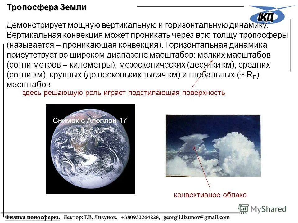 Тропосфера живые организмы