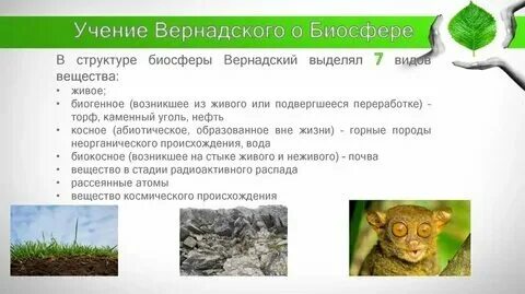 Выберите примеры биогенного вещества биосферы Презентация на тему Биосфера скачать презентацию