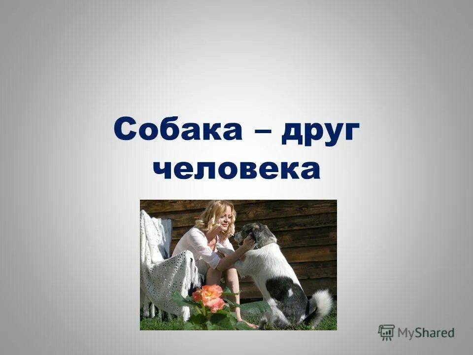 Собака и человек 1 класс. Собака друг человека. Презентация на тему собака друг человека. Доклад собака друг человека. Вывод собака друг человека.