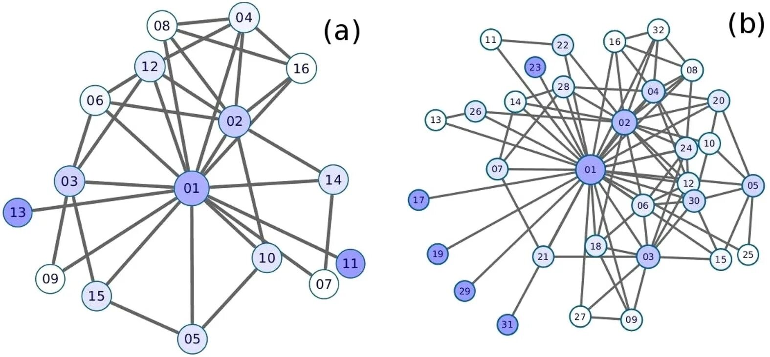 Complex networks. Neural networks with complex numbers. semantic number 12 обложка. node am/a4. www network plot complex network.