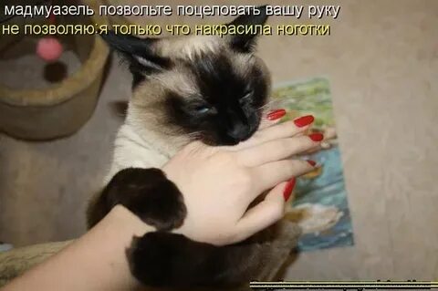 Это ему не с руки