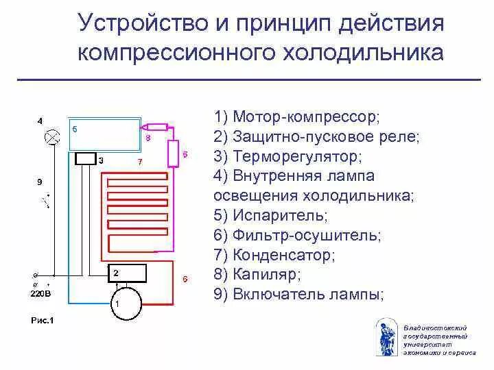 Сколько включается холодильник. Схема холодильного агрегата компрессионного типа. Схема холодильного агрегата холодильника. Схема устройства домашнего компрессионного холодильника. Схема холодильного агрегата холодильной камеры.