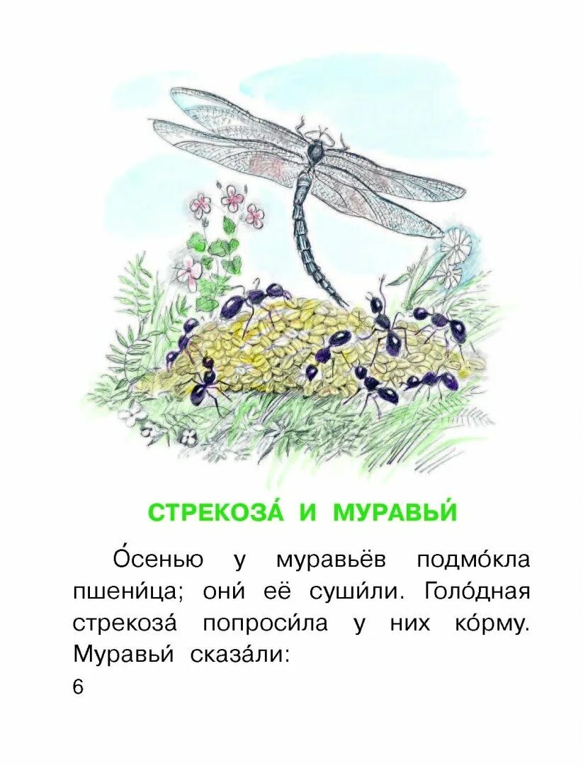 Басня л толстого стрекоза и муравьи. Л Н толстой басня Стрекоза и муравей. Толстой Лев Николаевич басня Стрекоза и муравей. Стрекоза и муравьи Лев толстой. Басня Стрекоза и муравьи Лев толстой.