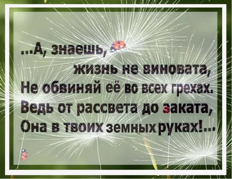 Он сказал что я виновата. Стихи родным и близким. Я самый худший. Он сказал что я виновата. Всегда виновата женщина.